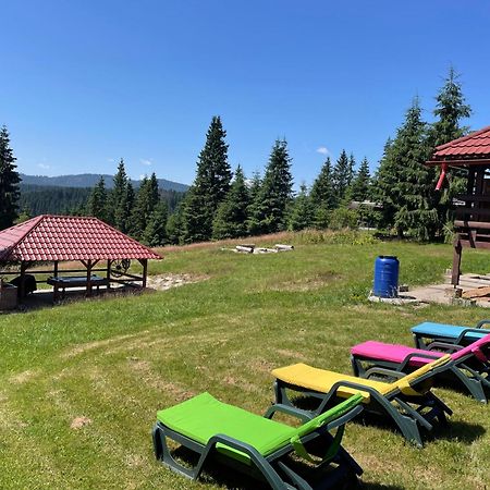 Cabana Transilvania Beliş Eksteriør bilde