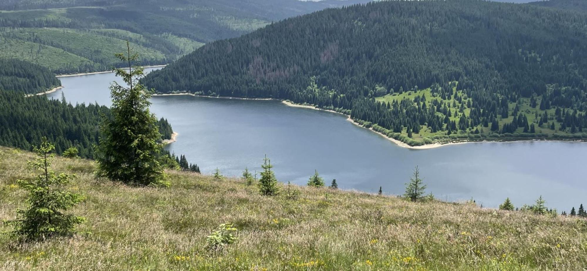 Cabana Transilvania Beliş Eksteriør bilde
